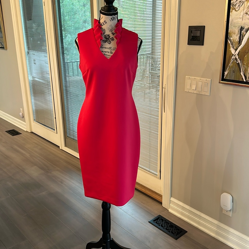 Pink never worn flattering ruffle color dress